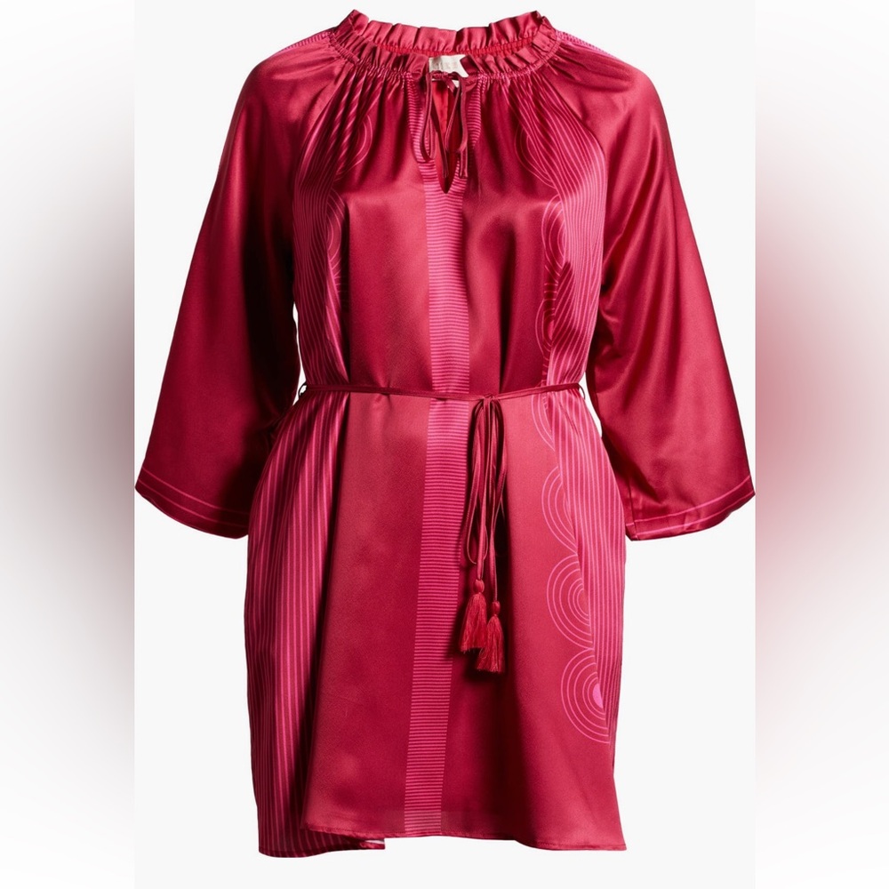 Ciebon Fuchsia Mini Dress with Tassel Accents - Picture 5 of 10